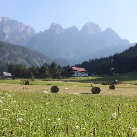 Muehlradl Apartments Gosau Chambre photo