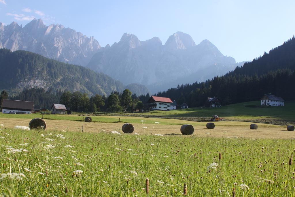 Muehlradl