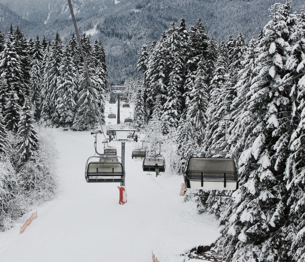 Muehlradl Appartement Gosau